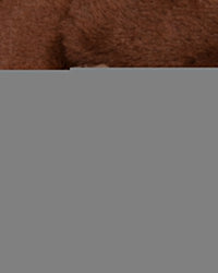 0MXBGW4277XXOBWX-pdp-5.jpg